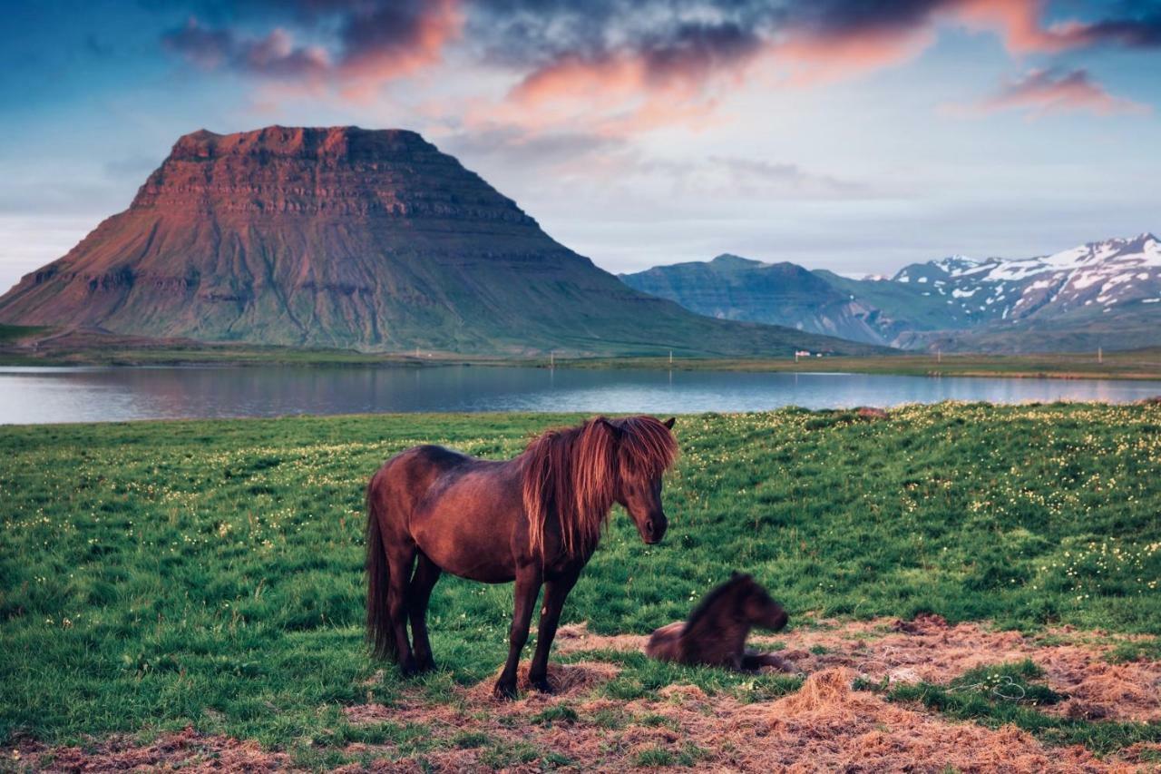 Experience Beautiful Iceland Olafsvik Exterior photo