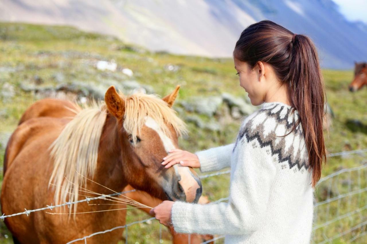 Experience Beautiful Iceland Olafsvik Exterior photo